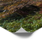 VK. Forest of Dean. Zonnestraal die een Poster (Hoek)