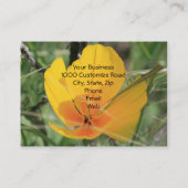 VK. Poppie Visitekaartje (Achterkant)