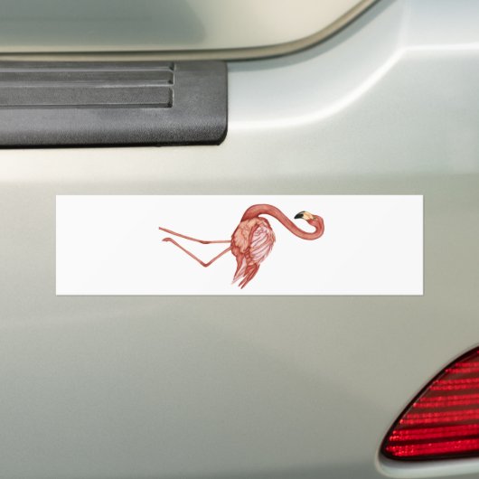 Vlaams Bumpersticker (Op auto)