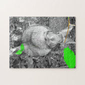 Vlaams reuzenkonijn B & W met groene bladeren Legpuzzel (Horizontaal)