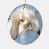 Vlaams wit en bruin konijn keramisch ornament (Links)