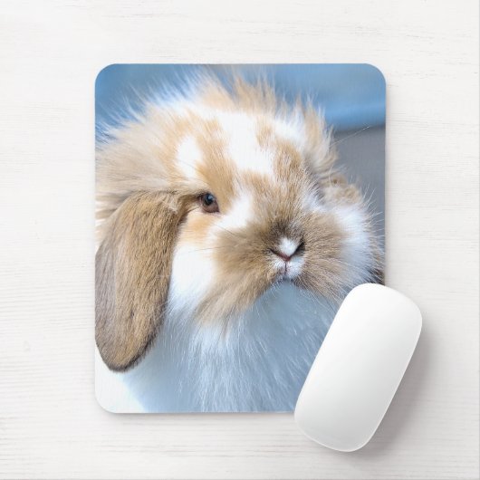 Vlaams wit en bruin konijn muismat (Met muis)