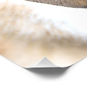 Vlaams wit en bruin konijn perfect poster (Hoek)