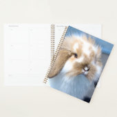 Vlaams wit en bruin konijn planner (Display)