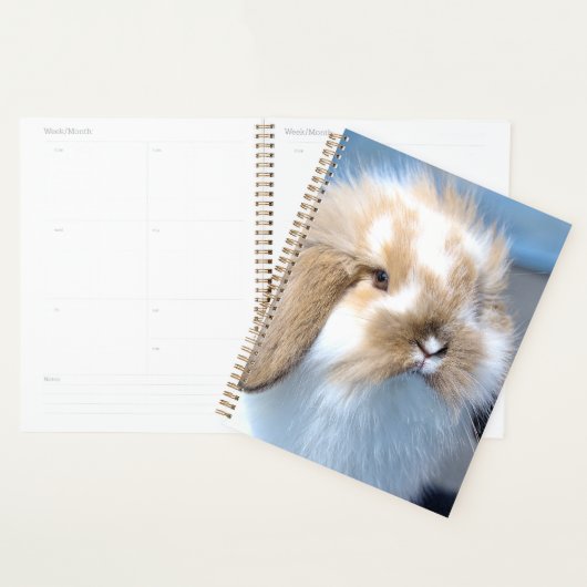 Vlaams wit en bruin konijn planner (Display)