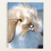 Vlaams wit en bruin konijn planner (Voorkant)