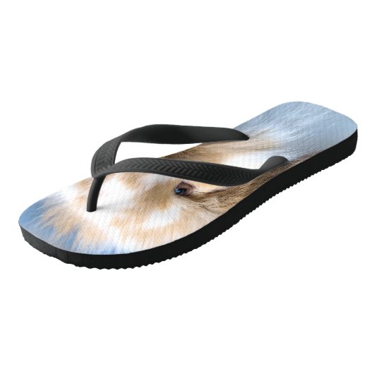 Vlaams wit en bruin konijn teenslippers (Schuin)