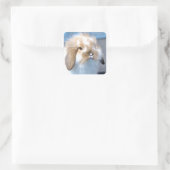 Vlaams wit en bruin konijn vierkante sticker (Tas)