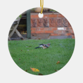 Vlaamse gaai keramisch ornament