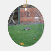 Vlaamse gaai keramisch ornament (Links)