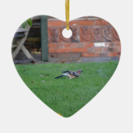 Vlaamse gaai keramisch ornament