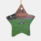 Vlaamse gaai keramisch ornament (Rechts)