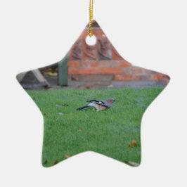 Vlaamse gaai keramisch ornament
