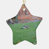 Vlaamse gaai keramisch ornament (Links)