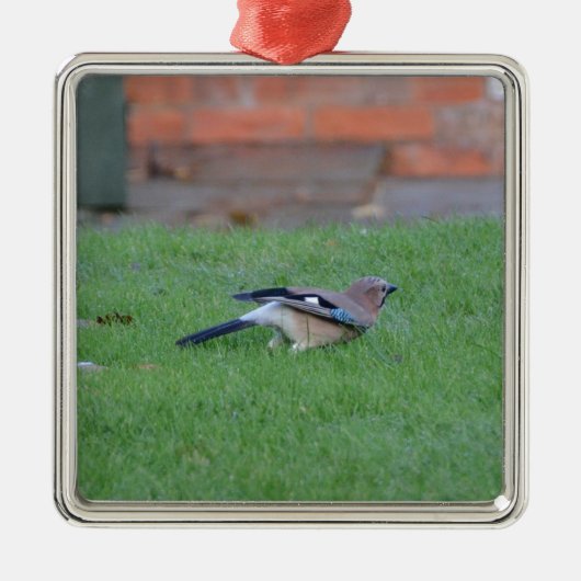 Vlaamse gaai metalen ornament (Voorkant)