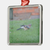 Vlaamse gaai metalen ornament (Links)