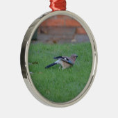 Vlaamse gaai metalen ornament (Rechts)