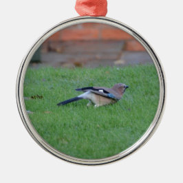 Vlaamse gaai metalen ornament