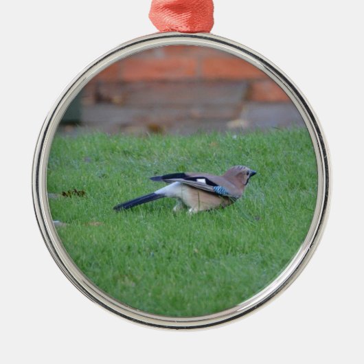 Vlaamse gaai metalen ornament (Voorkant)