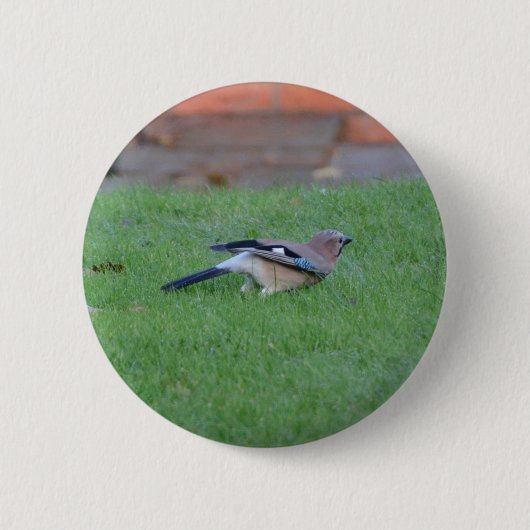 Vlaamse gaai ronde button 5,7 cm (Voorkant)