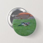Vlaamse gaai ronde button 5,7 cm (Voorkant /achterkant)