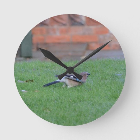 Vlaamse gaai ronde klok (Voorkant)
