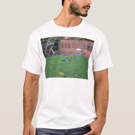 Vlaamse gaai t-shirt