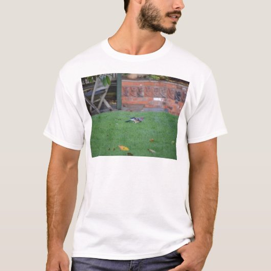 Vlaamse gaai t-shirt (Voorkant)
