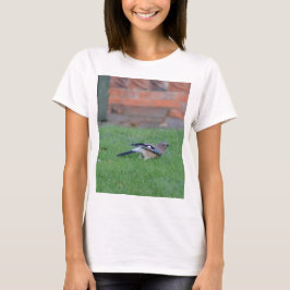 Vlaamse gaai t-shirt