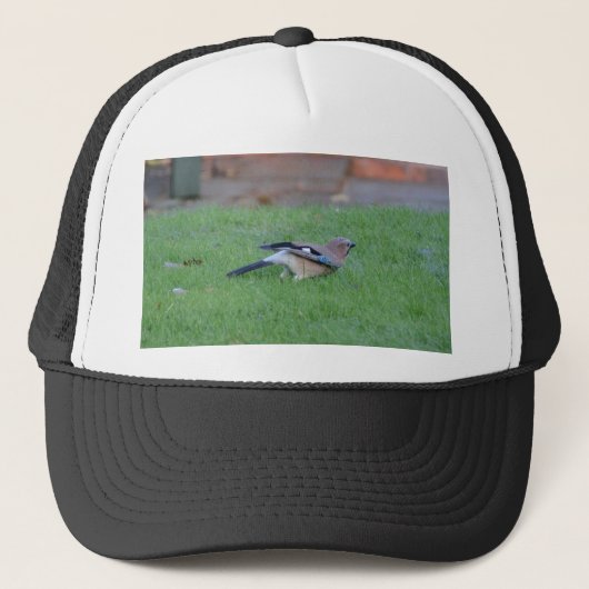 Vlaamse gaai trucker pet (Voorkant)