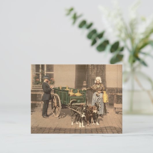  Vlaamse Melk Maid Briefkaart (Staand voorkant)