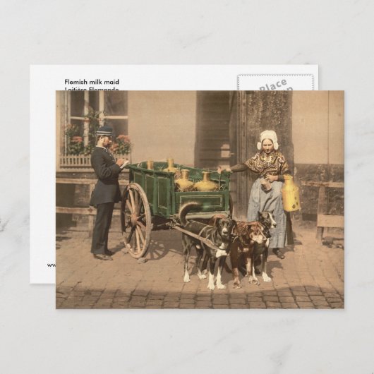  Vlaamse Melk Maid Briefkaart (Voorkant / Achterkant)