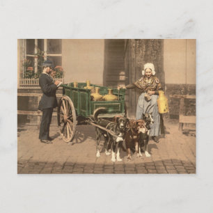 Vlaamse Melk Maid Briefkaart