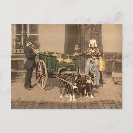  Vlaamse Melk Maid Briefkaart (Voorkant)