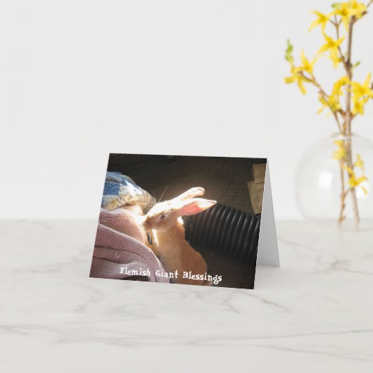 Vlaamse Reuze Zegen Notecards Kaart (Gele Bloem)