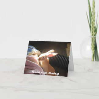 Vlaamse Reuze Zegen Notecards Kaart