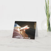 Vlaamse Reuze Zegen Notecards Kaart (Voorkant)