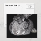 Vlaamse stommeling geeft je een beetje geld! briefkaart (Voorkant / Achterkant)