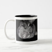 Vlaamse stommeling geeft je een beetje geld! tweekleurige koffiemok (Links)