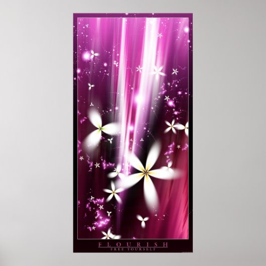 Vlaanderen Poster (Voorkant)