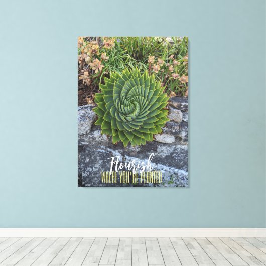 Vlaanderen waar je geplant bent met spiraalaloëse  canvas afdruk (Insitu (Houten vloer))