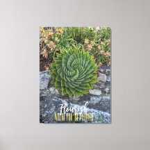 Vlaanderen waar je geplant bent met spiraalaloëse 