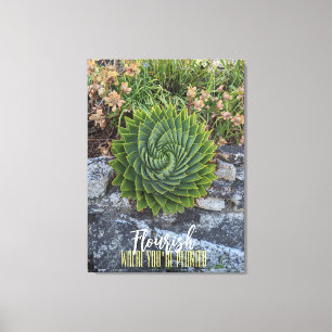 Vlaanderen waar je geplant bent met spiraalaloëse  canvas afdruk