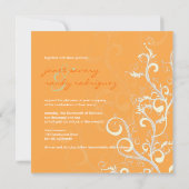 Vlaanderen/zwamblaadjes/sinaasappel Kaart (Achterkant)