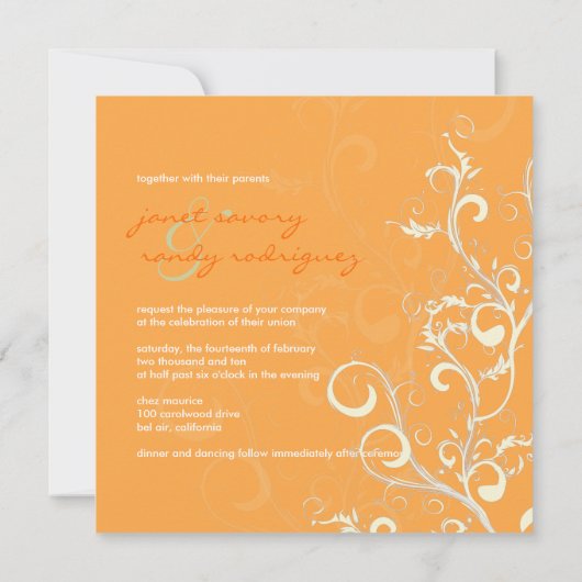 Vlaanderen/zwamblaadjes/sinaasappel Kaart (Achterkant)