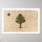 vlag 1901 (groot) poster (Voorkant)