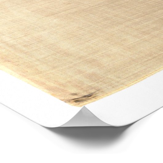 vlag 1901 (groot) poster (Hoek)