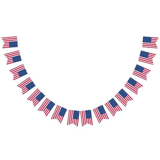 Vlag Amerikaans land Vlaggetjes (Alle)