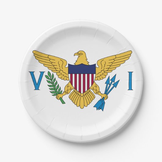 Vlag Amerikaanse Maagdeneilanden Papieren Bordje (Voorkant)