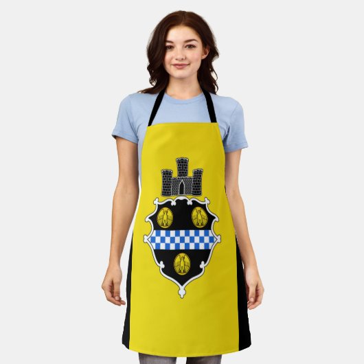 vlag Apron van Pittsburgh City Schort (Gedragen)
